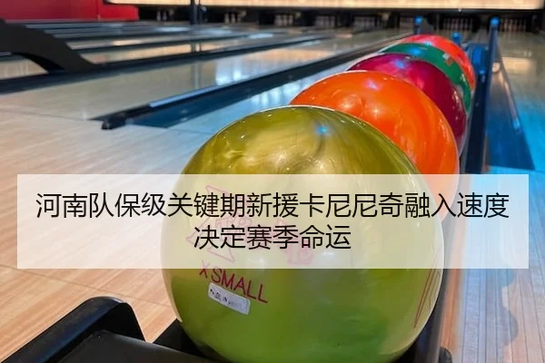 河南队保级关键期新援卡尼尼奇融入速度决定赛季命运